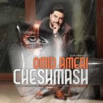 Omid Ameri Cheshmash